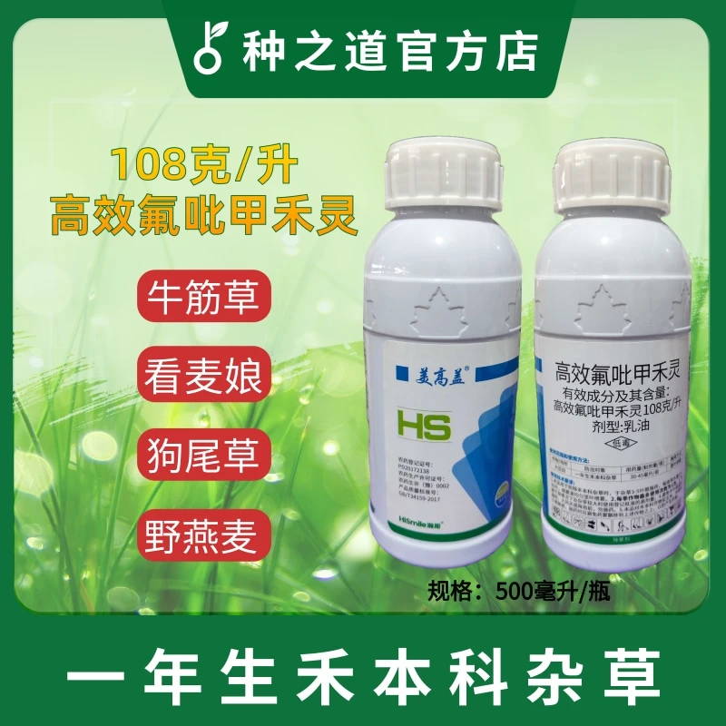 种之道除游草 高效氟吡甲禾灵农药禾本科尖叶杂草 清表除草美高盖