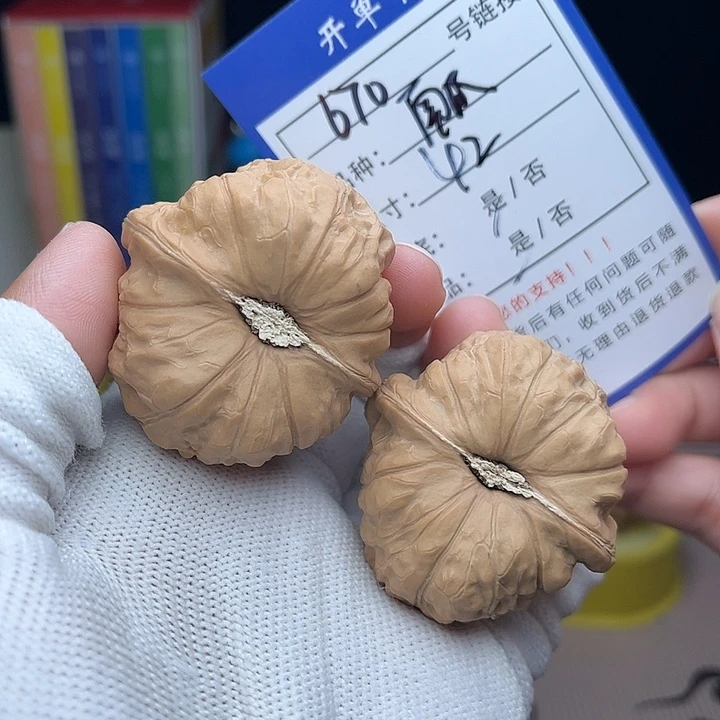 文玩核桃手捻核桃670