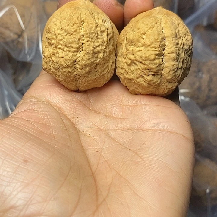把件文玩核桃云南铁核桃77