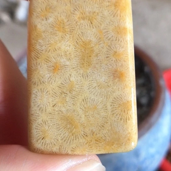 硅化玉吊坠未镶嵌