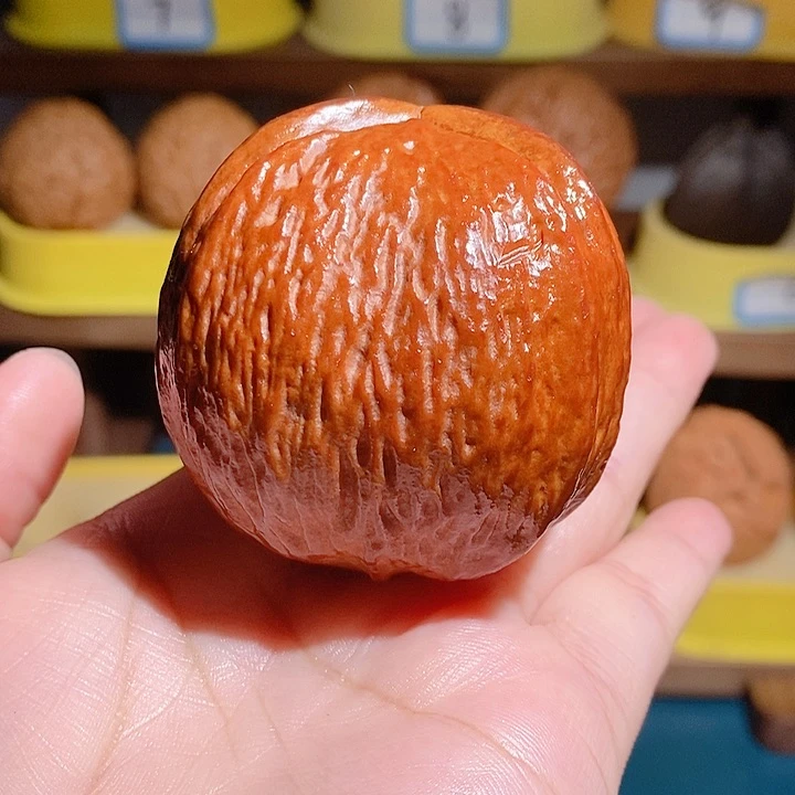 野生大橄榄核雷公核