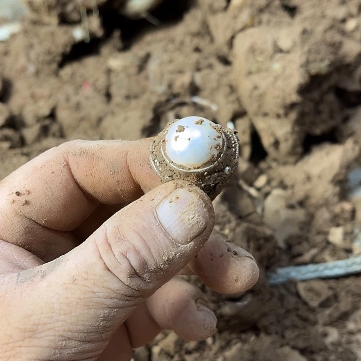 瓷片瓷器紫砂壶瓷器