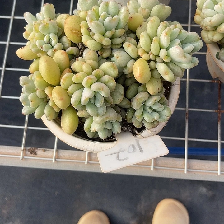 煥***两单包邮，全场炸福利，102