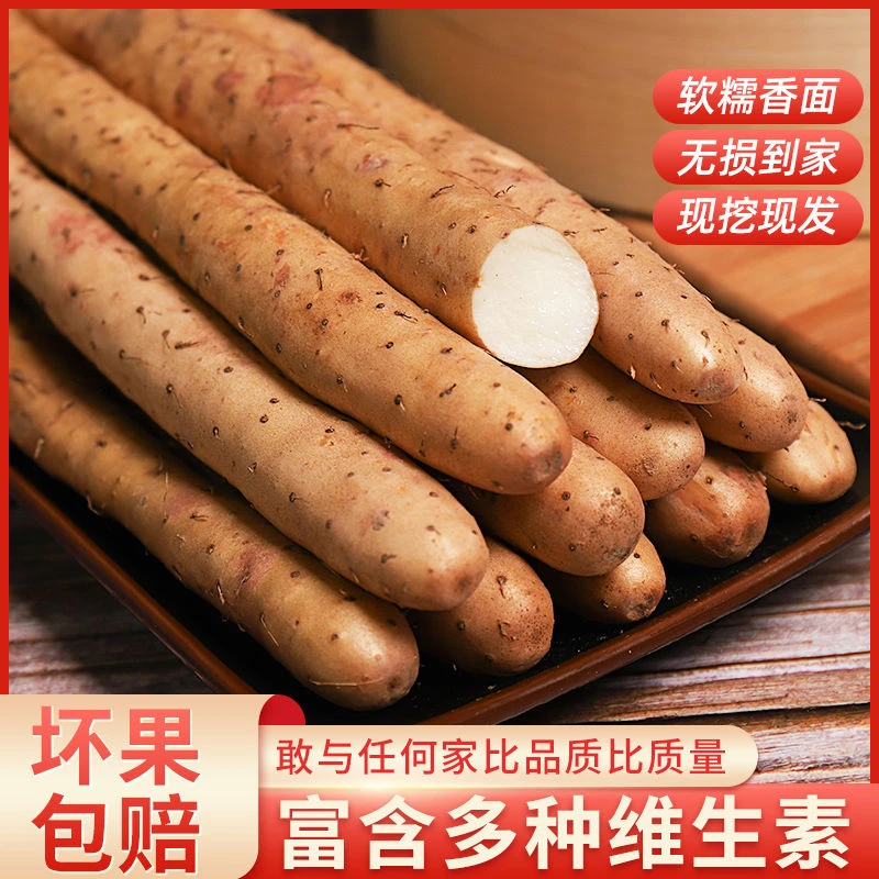 正宗垆土铁棍山药当季现挖新鲜粉糯甘面香产地直发精品断果5斤装