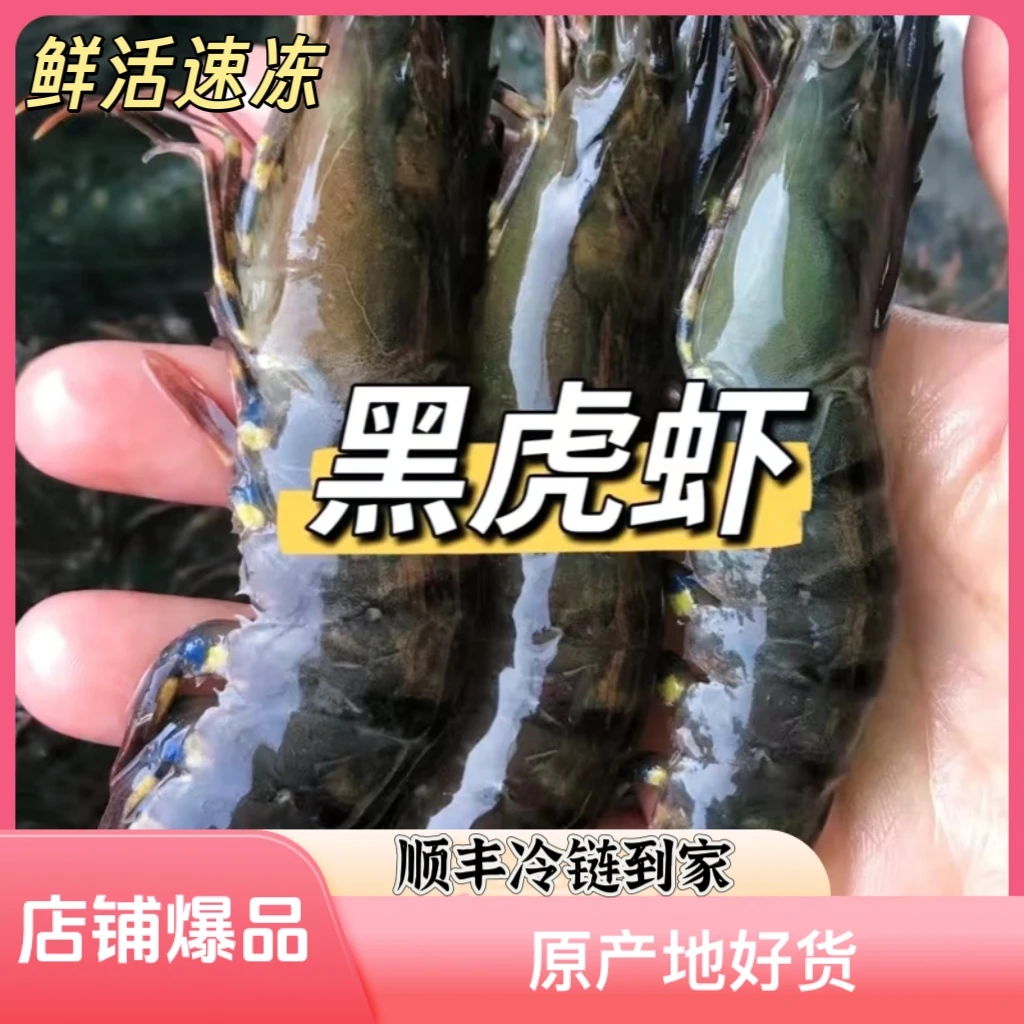 【头姐】北海码头黑虎虾速冻发货（图片仅供参考，请以实物为准）