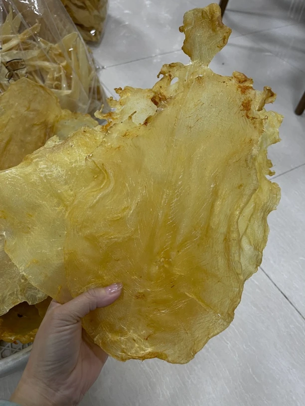 斗湖公胶 厚肉斗湖胶 斗湖鱼胶