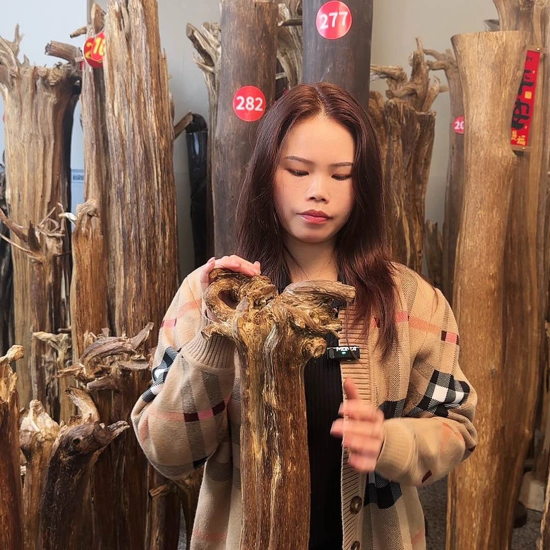 沉香摆件天然沉香原木摆件➕底座