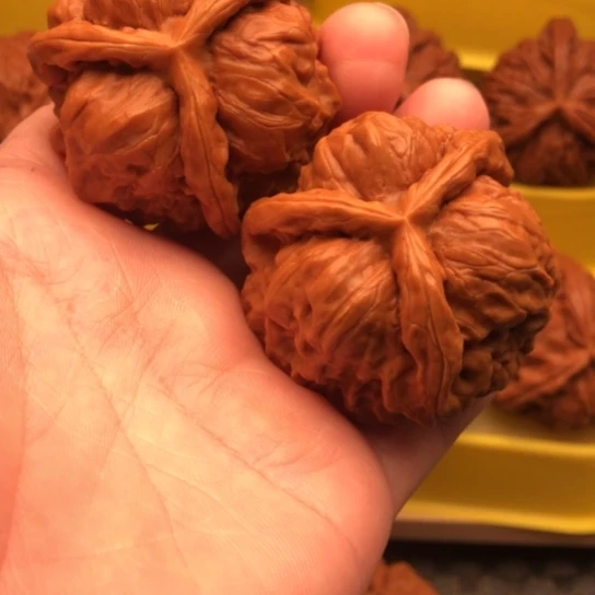 故***我核桃核桃核桃核桃核桃核桃