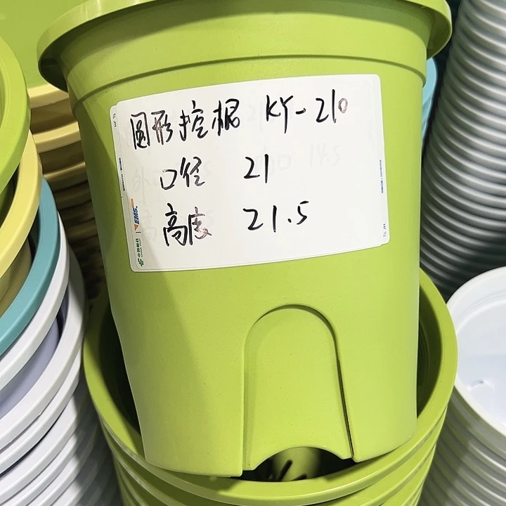 正品圆控口21高21果绿无托8只