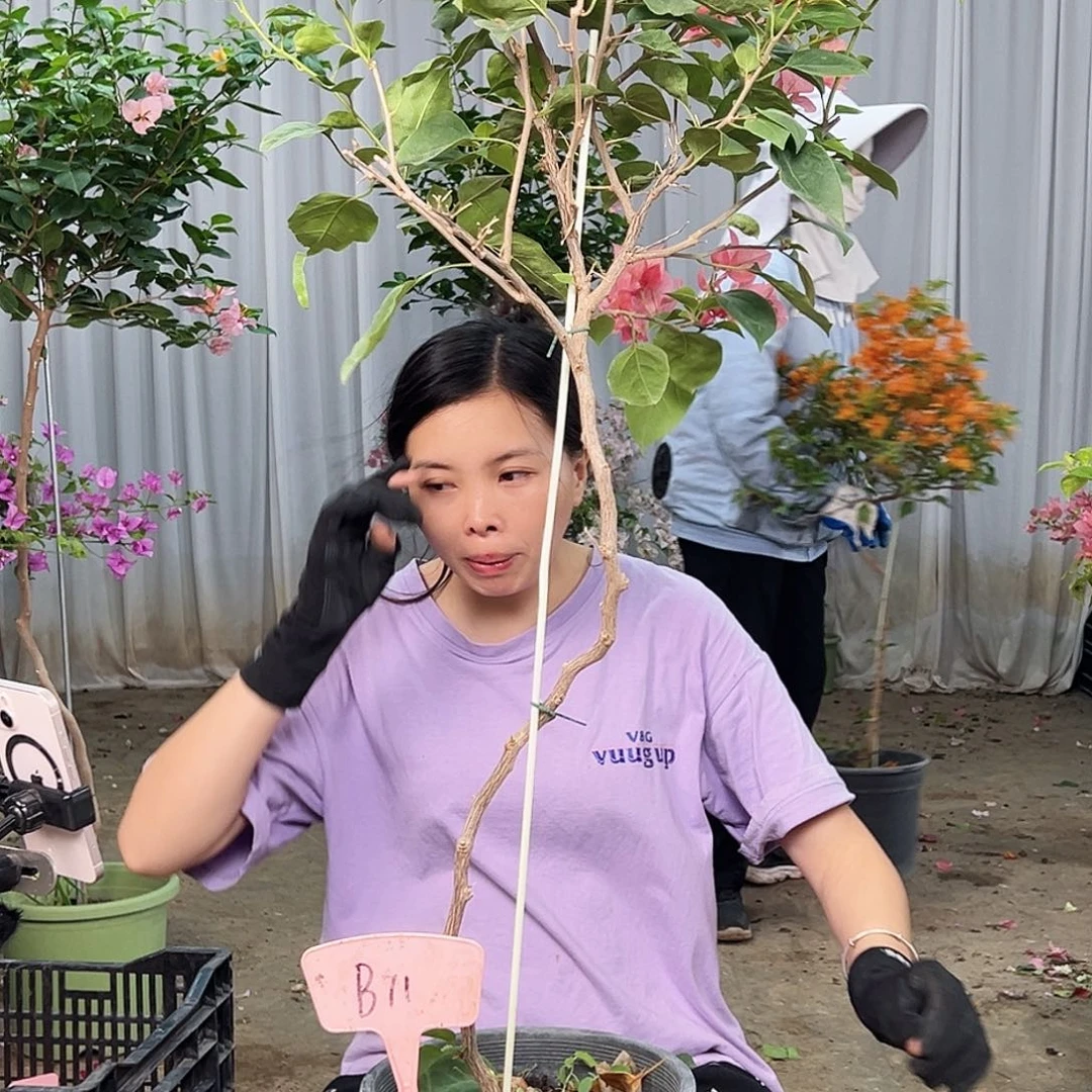 奇***下完全开放B71不甜西瓜