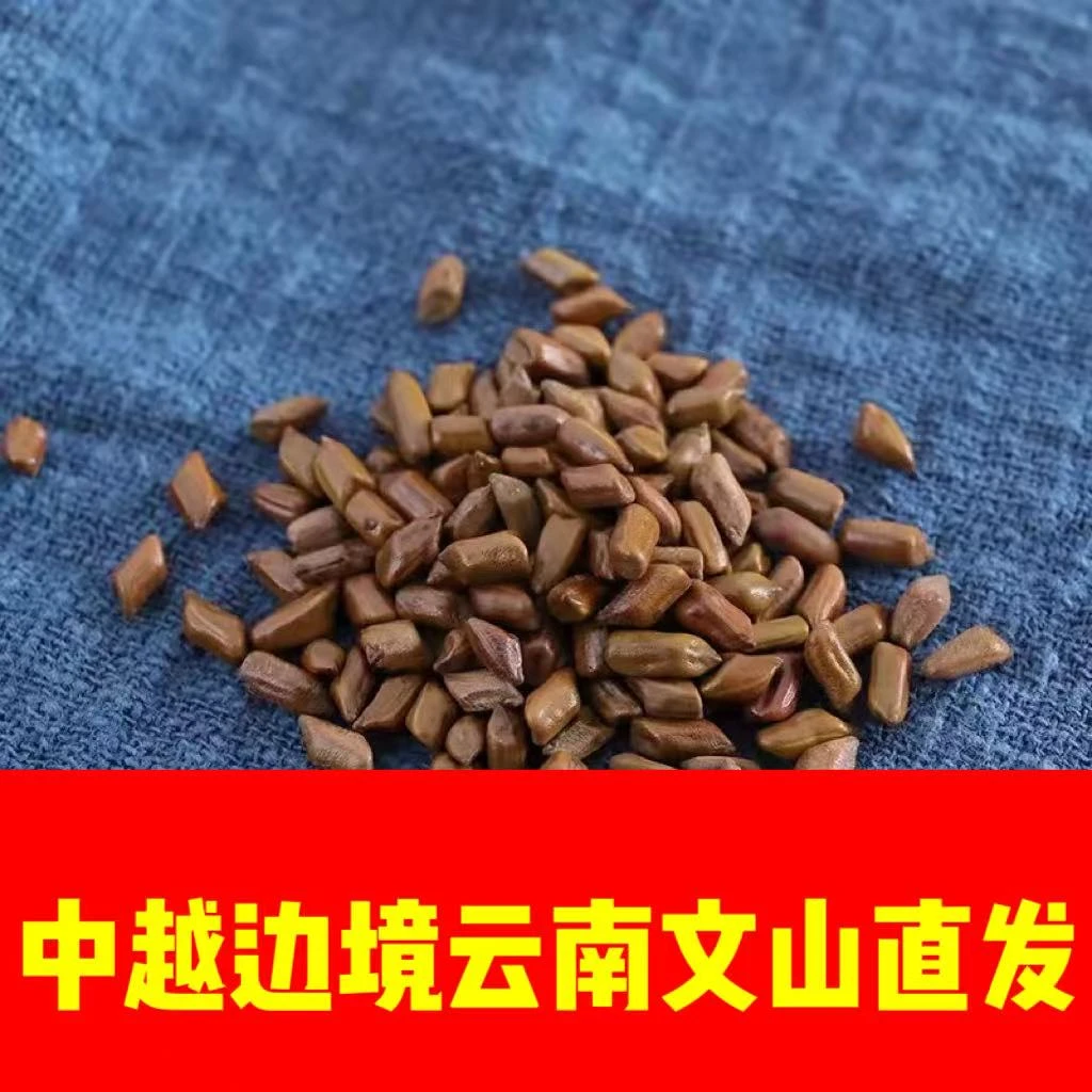 中越边境云南文山一寨一品决明子