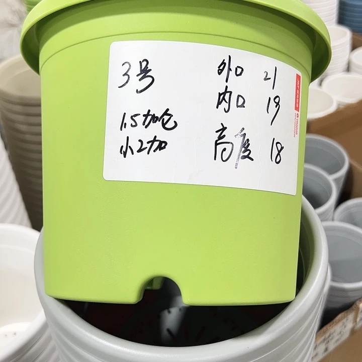 特价3号四季口21高18果绿无托10只