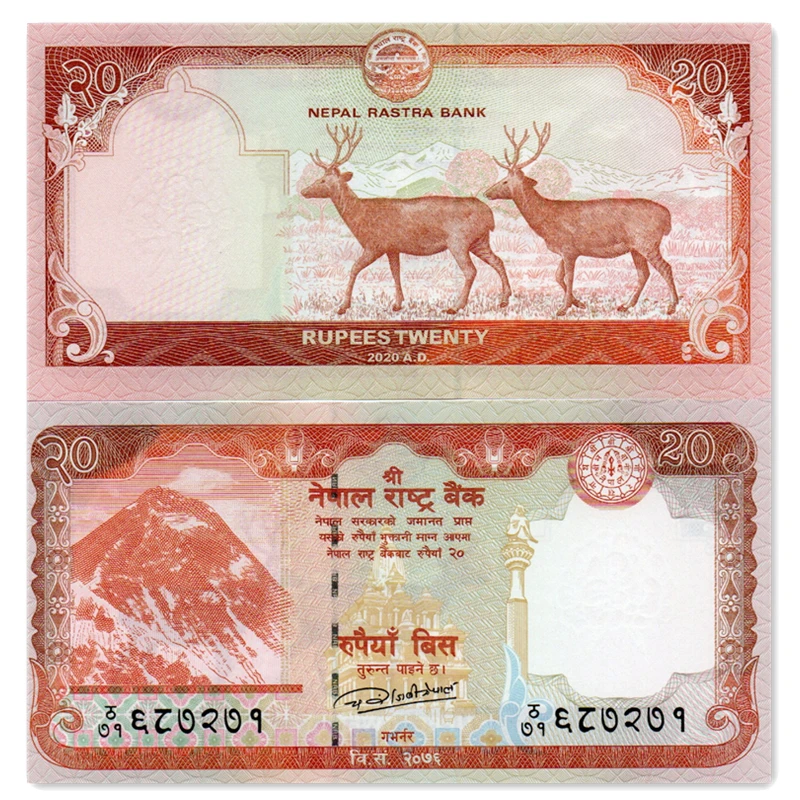 尼泊尔20卢比纸币 2020年双鹿版 亚洲外国钱币全新