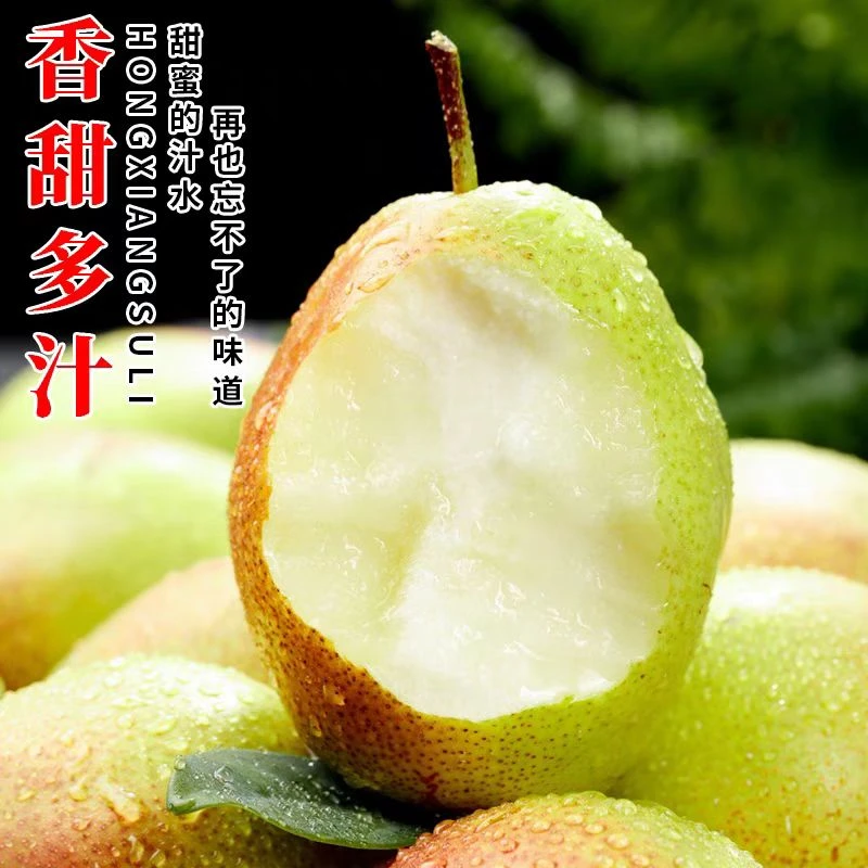 【阿康农人专属】正宗陕西红香酥梨5斤新鲜应季水果薄皮梨子整箱