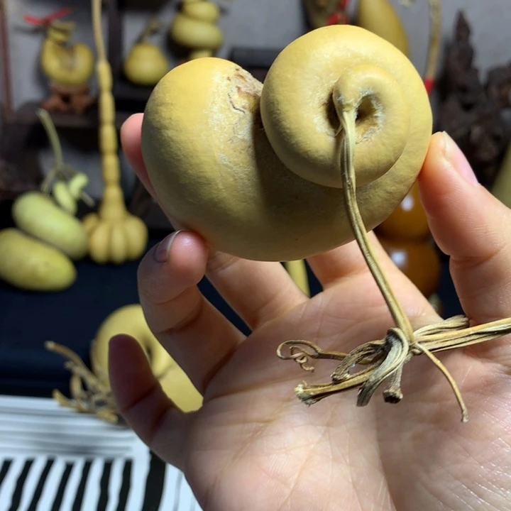 撸***生葫芦葫芦真的好可爱呀