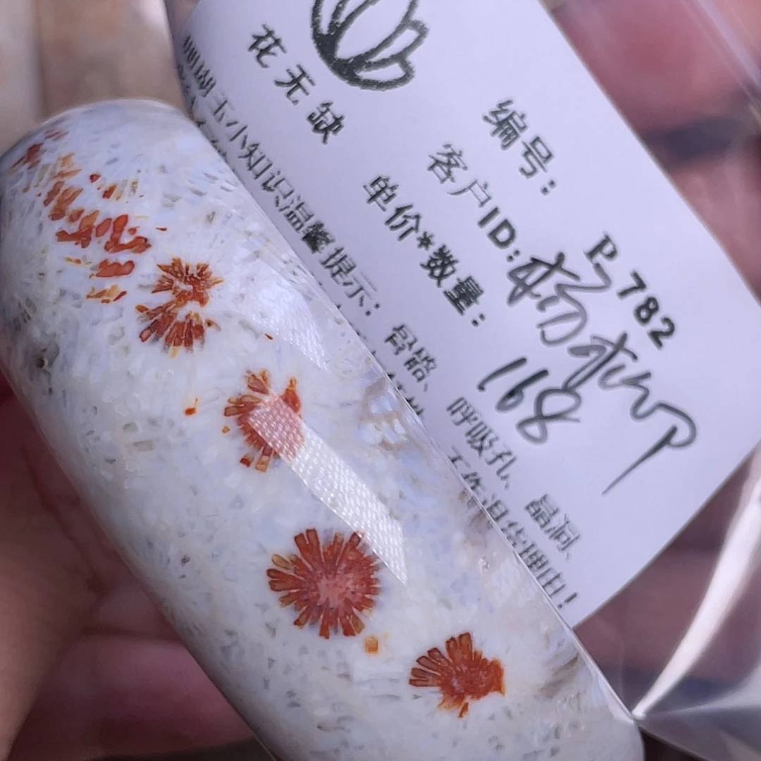 杨***9未镶嵌手镯硅化玉