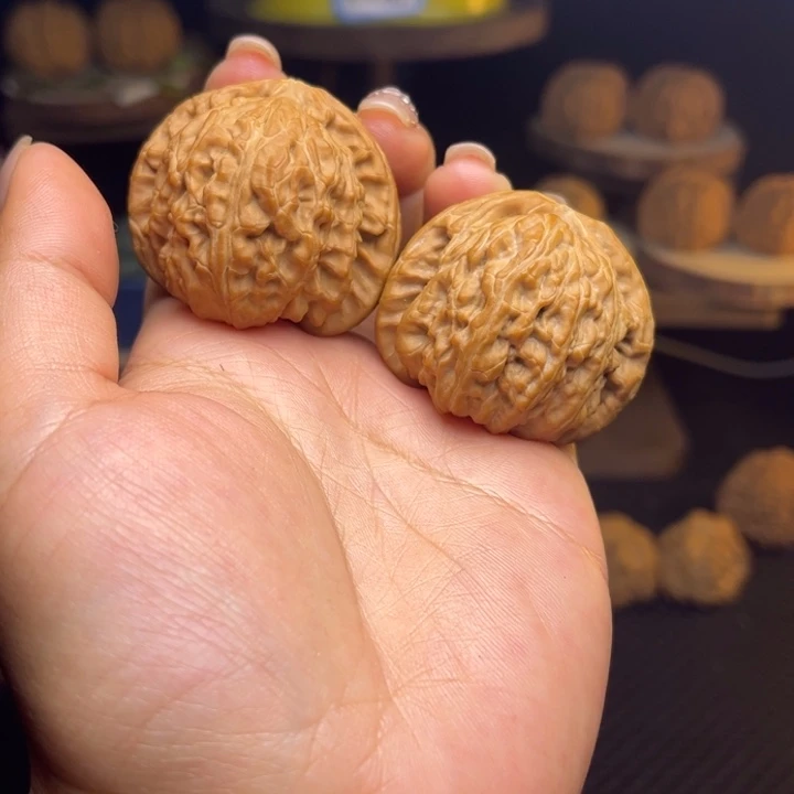 文玩核桃把件白狮子