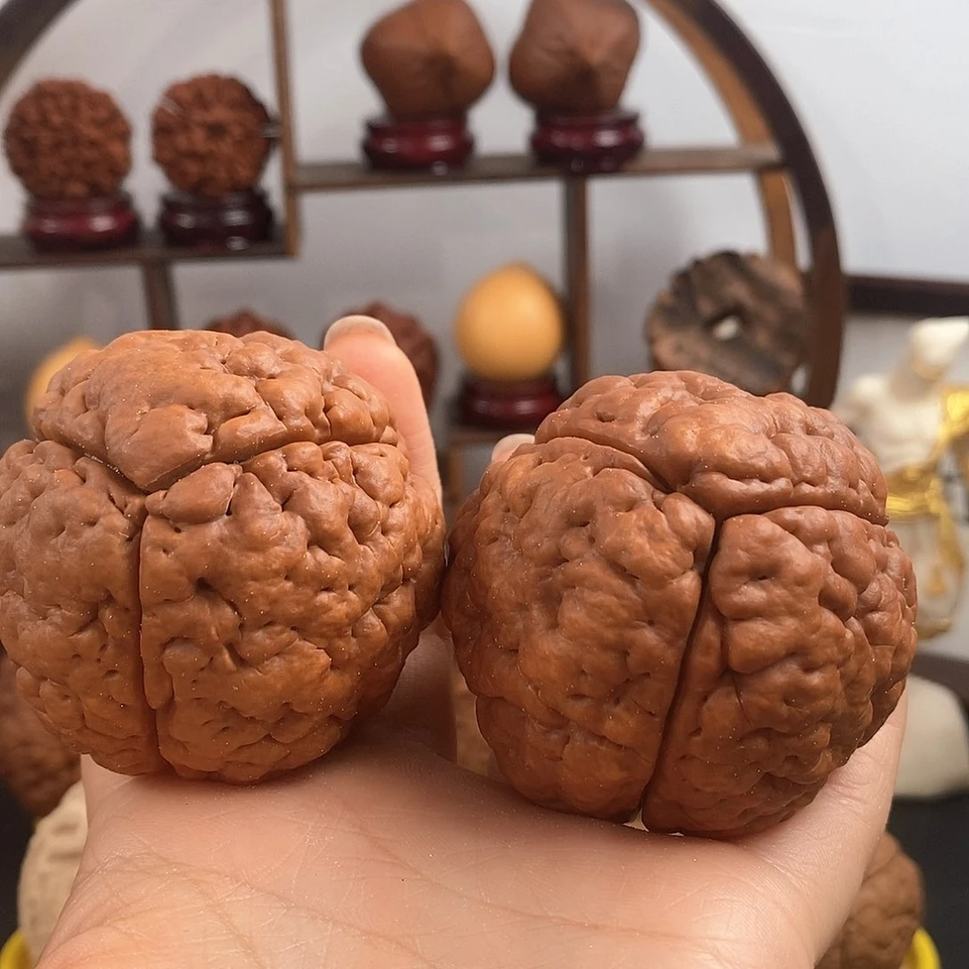 文玩核桃把件三瓣脑纹金刚微瑕 5563