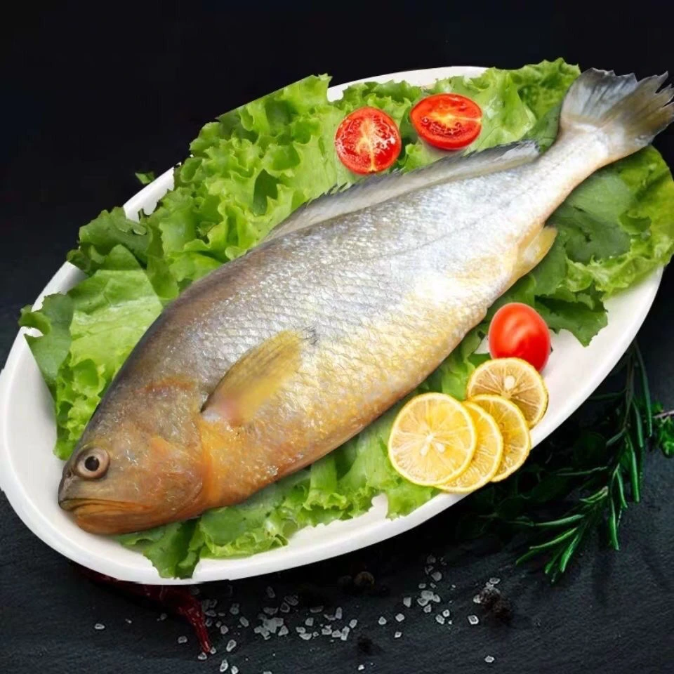黄花鱼海洋海捕新鲜冷冻肉质细腻鲜嫩4条老少皆宜大海美味