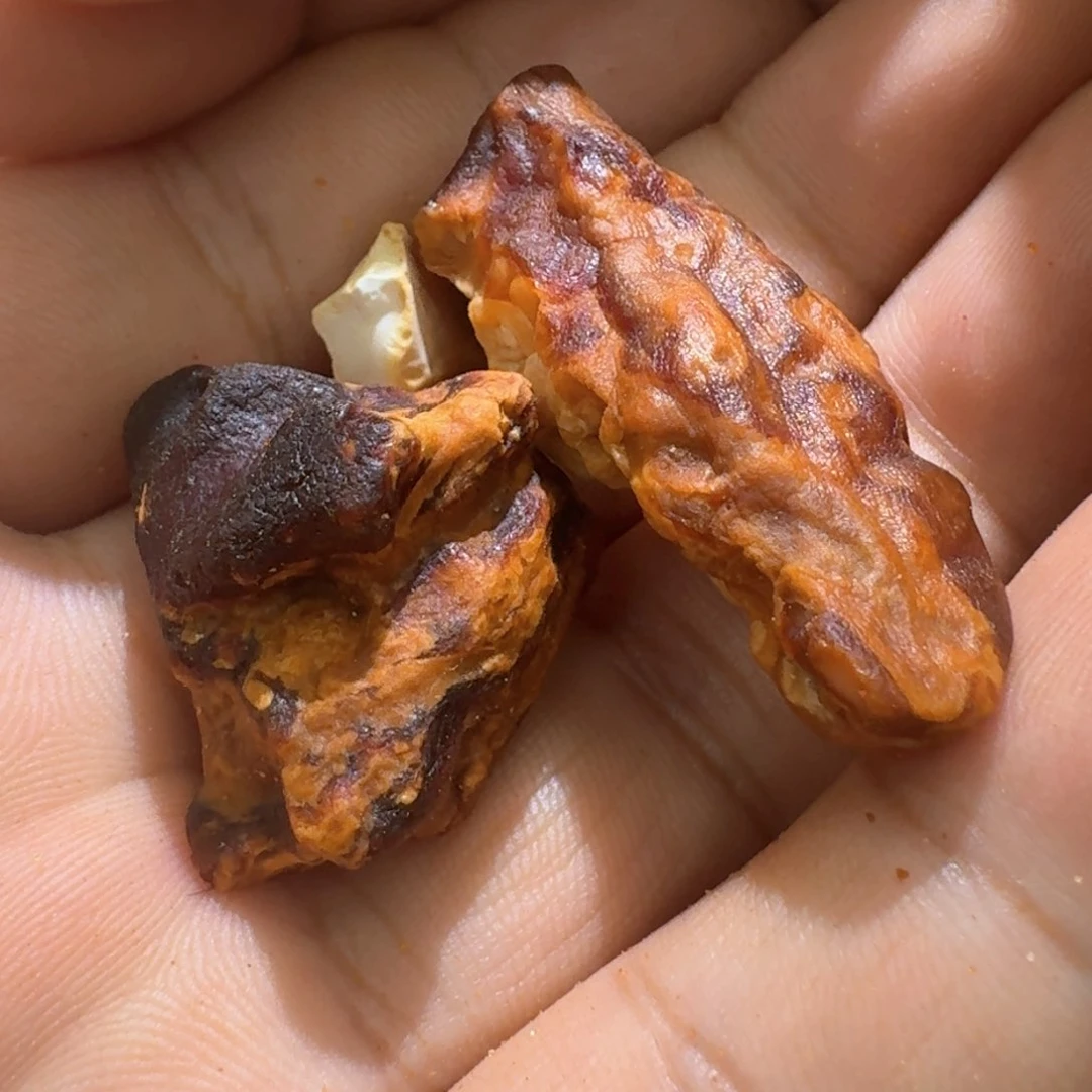 裸石琥珀未镶嵌蜜*缘专拍