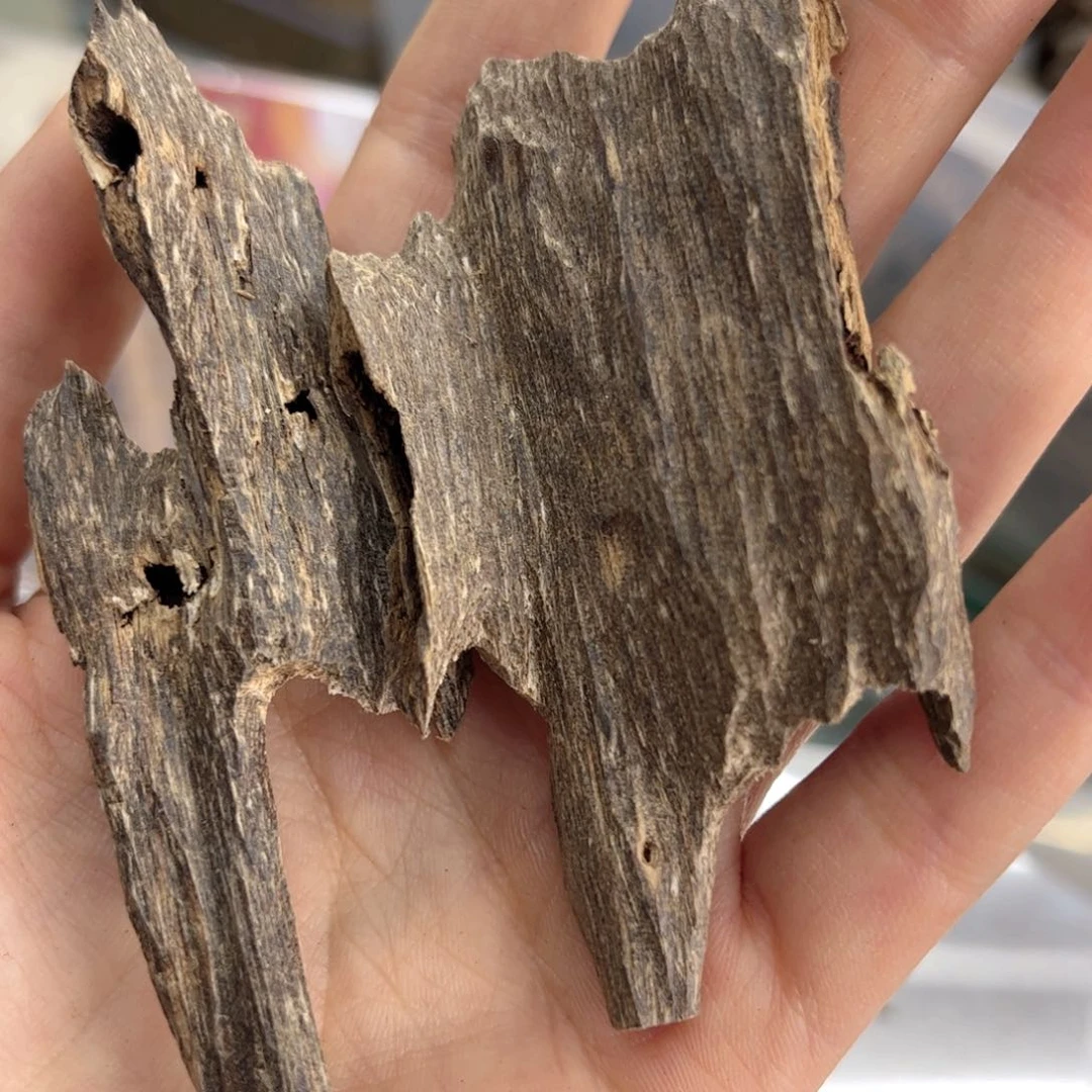 香榧木海南木料尖峰岭虫漏10克