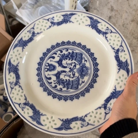 其他瓷10寸盘一个陶瓷
