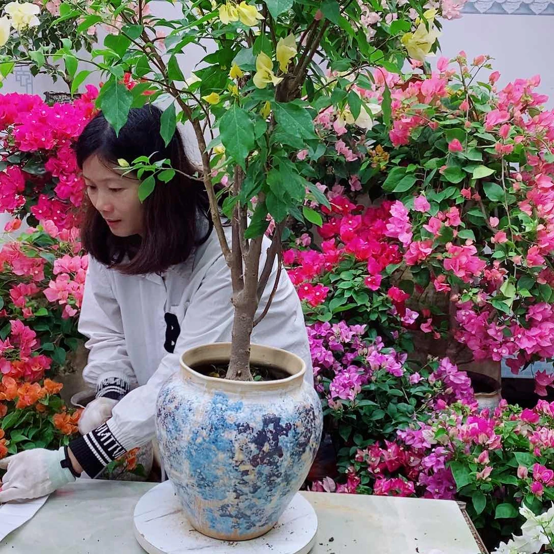 完全开放浅**涯我要好好学习