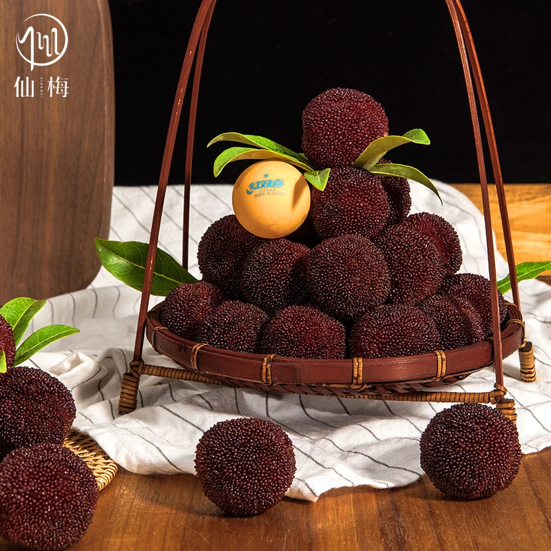 仙【80后女村长】2025年“仙”牌东魁杨梅84颗15g正宗仙居杨梅