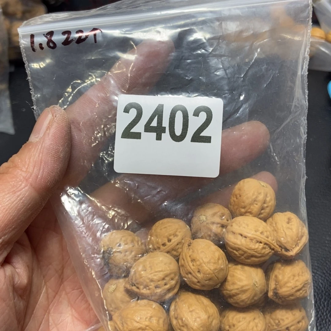 文玩核桃吊坠远****s秋子