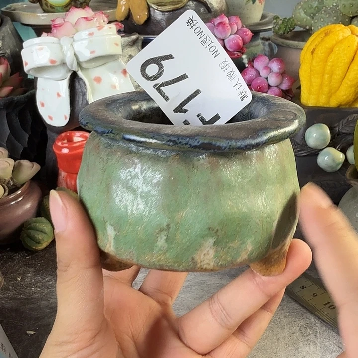 重庆小燕子欢迎大家179