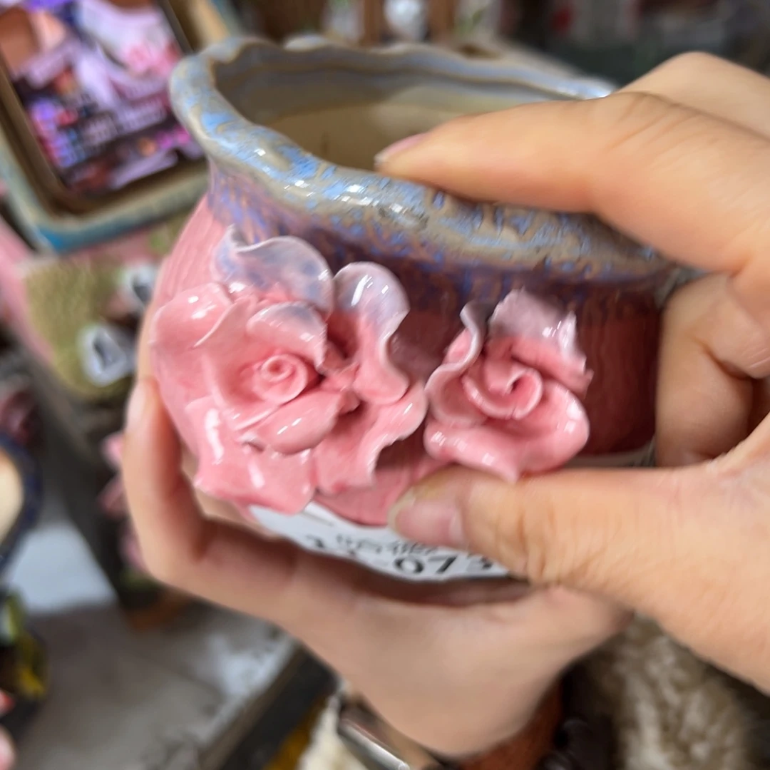 花盆，拍满20发货，退款拉黑