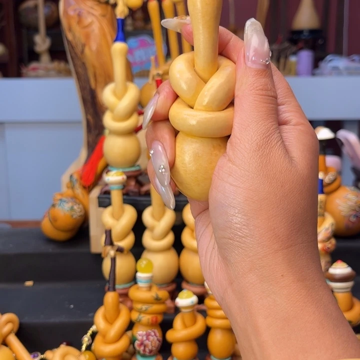 诺***诺我66666666月111111111