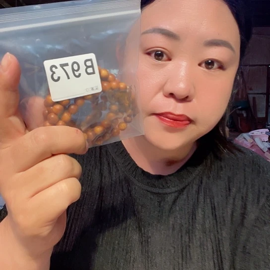 大果紫檀（缅甸花梨）973