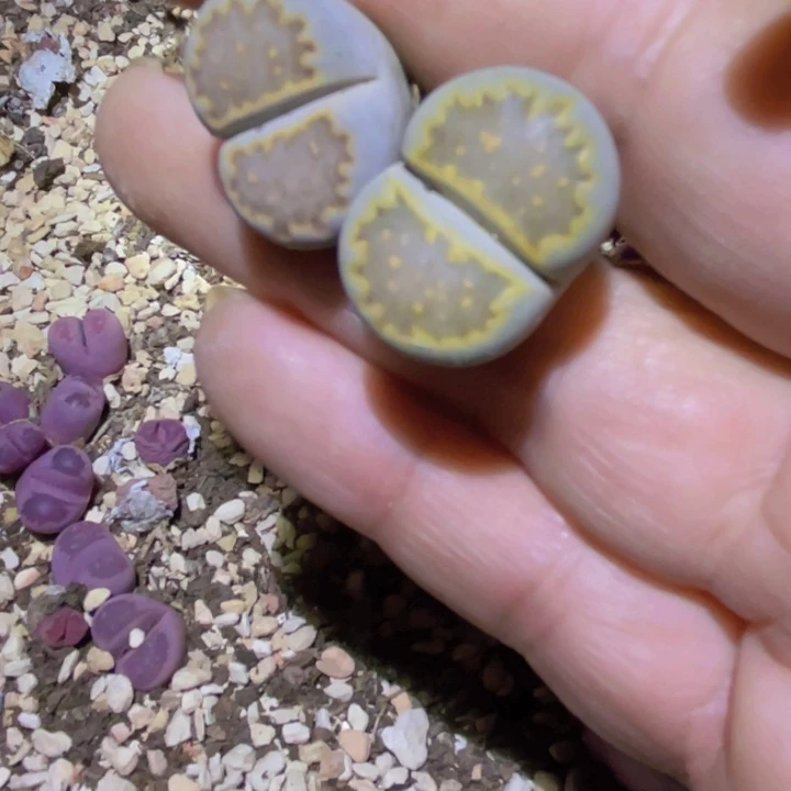 186898898888888888888