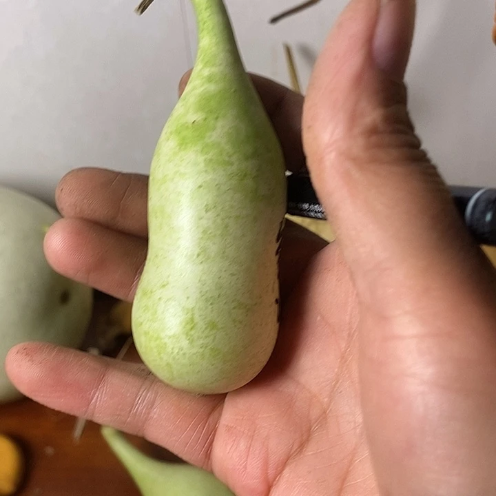 雾***i青皮腰子葫芦手把件