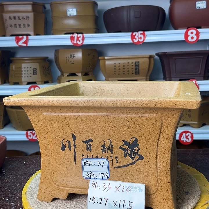 花盆紫砂你在一起