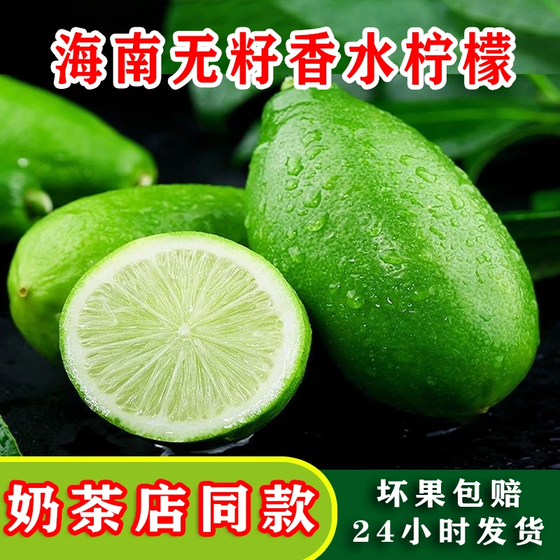 【直播福利】海南新鲜无籽香水柠檬清香多汁当季水果奶茶柠檬茶专用