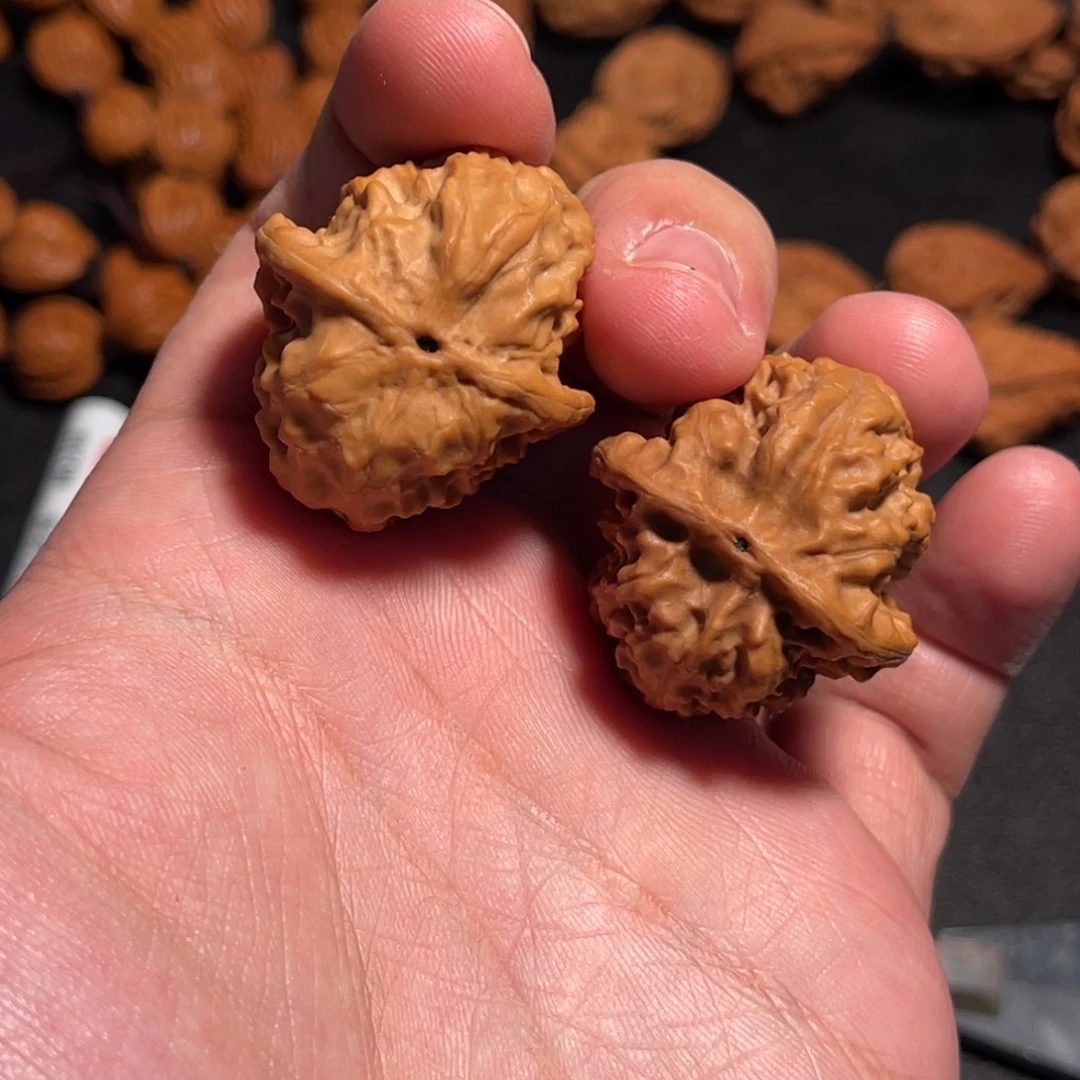 31全品野生狼牙山