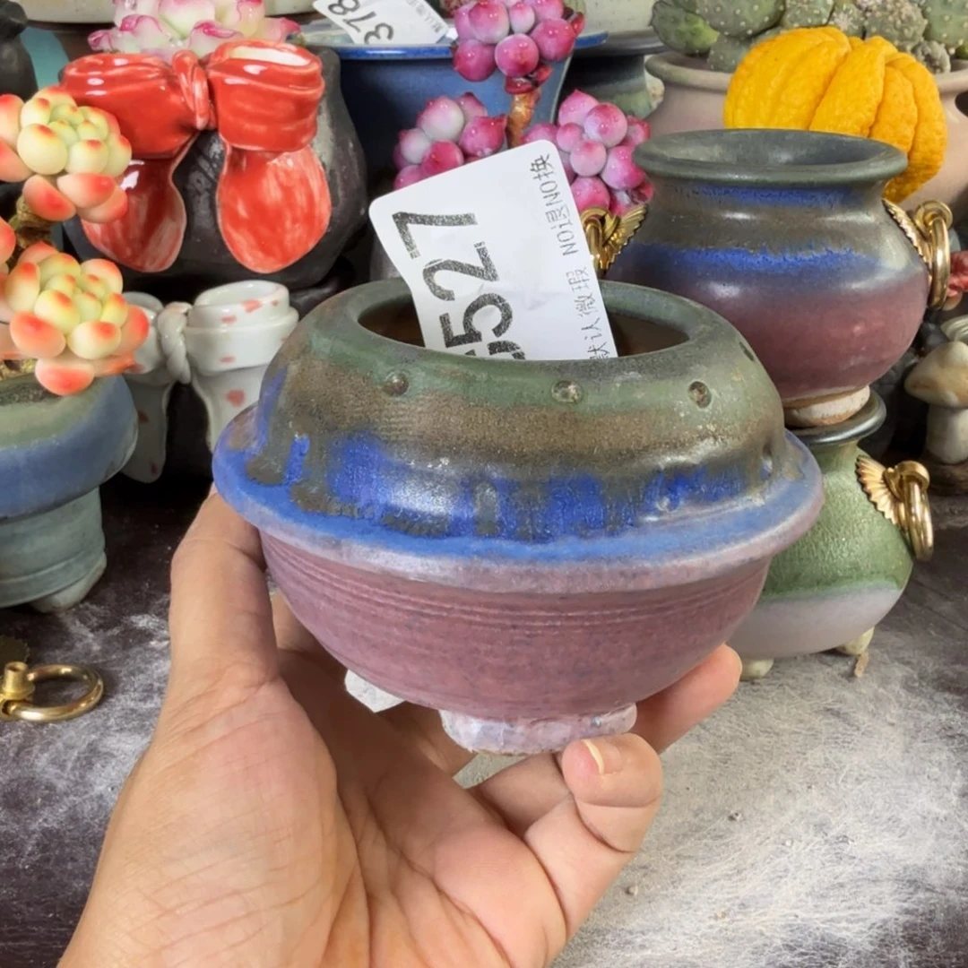 重庆小燕子欢迎大家527