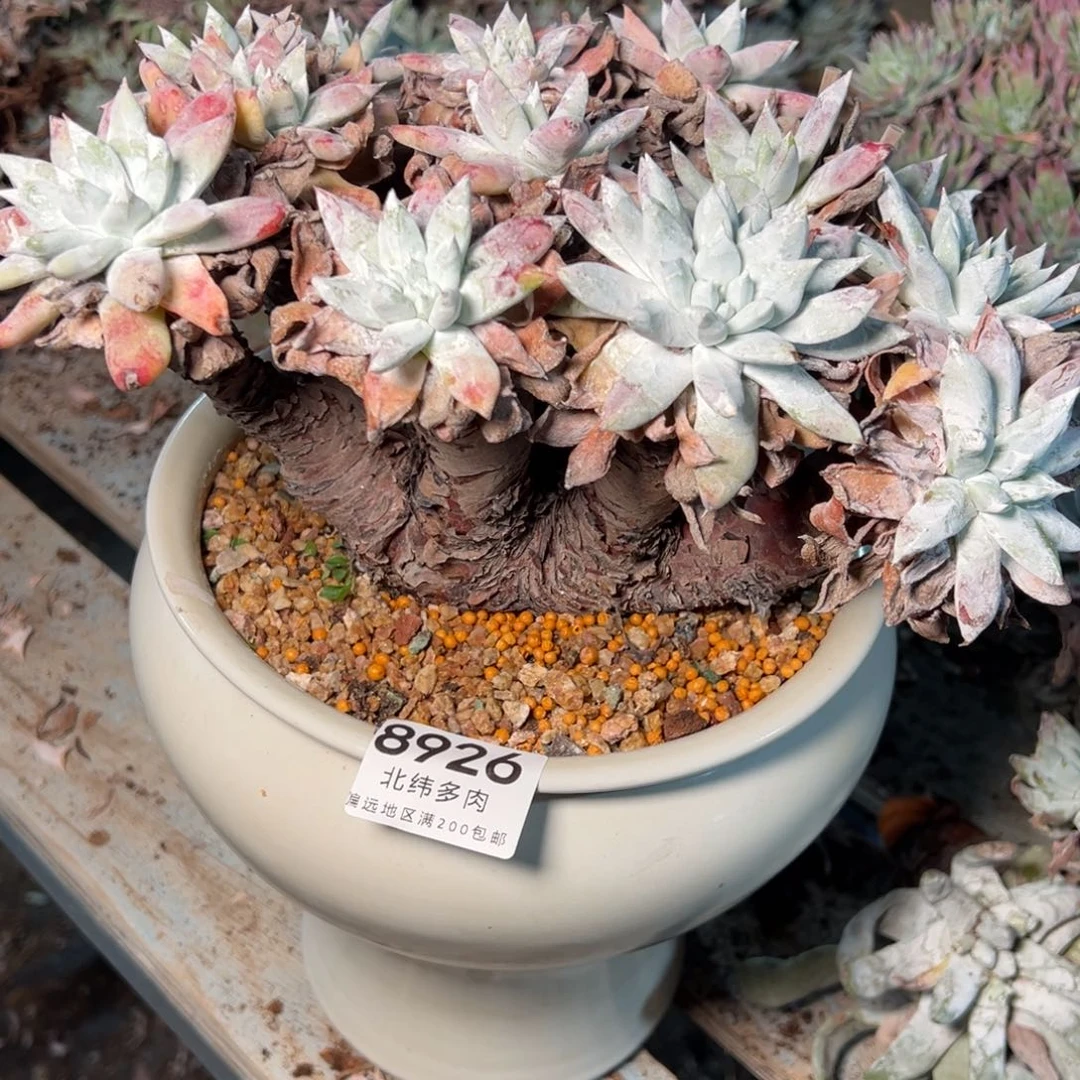 高****28926哈哈哈哈哈哈哈哈哈