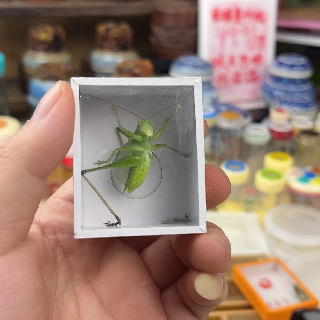 梦***真一条扎嘴拍拍拍拍