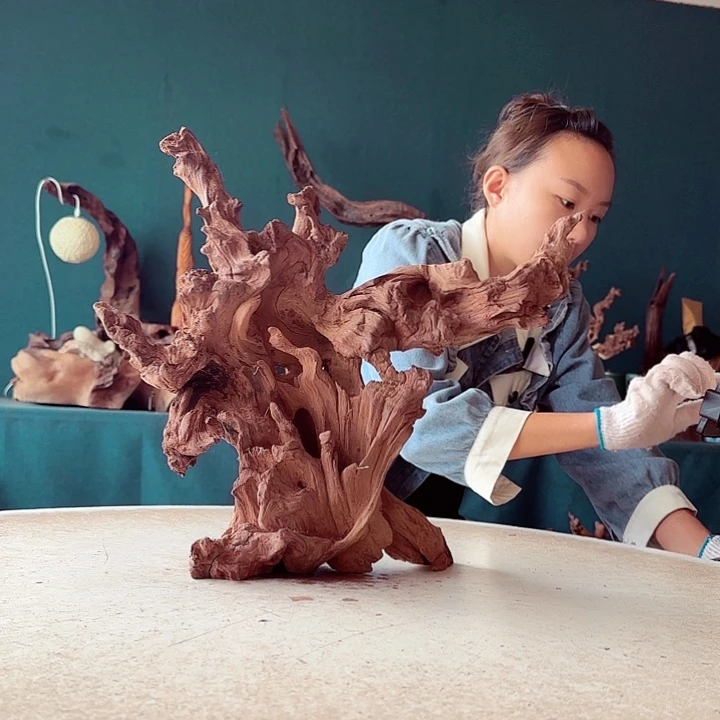 王***志木146 金色红木羊蹄甲半成品