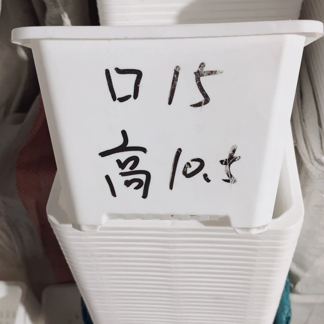 塑料福利款15方白色盆10个无托
