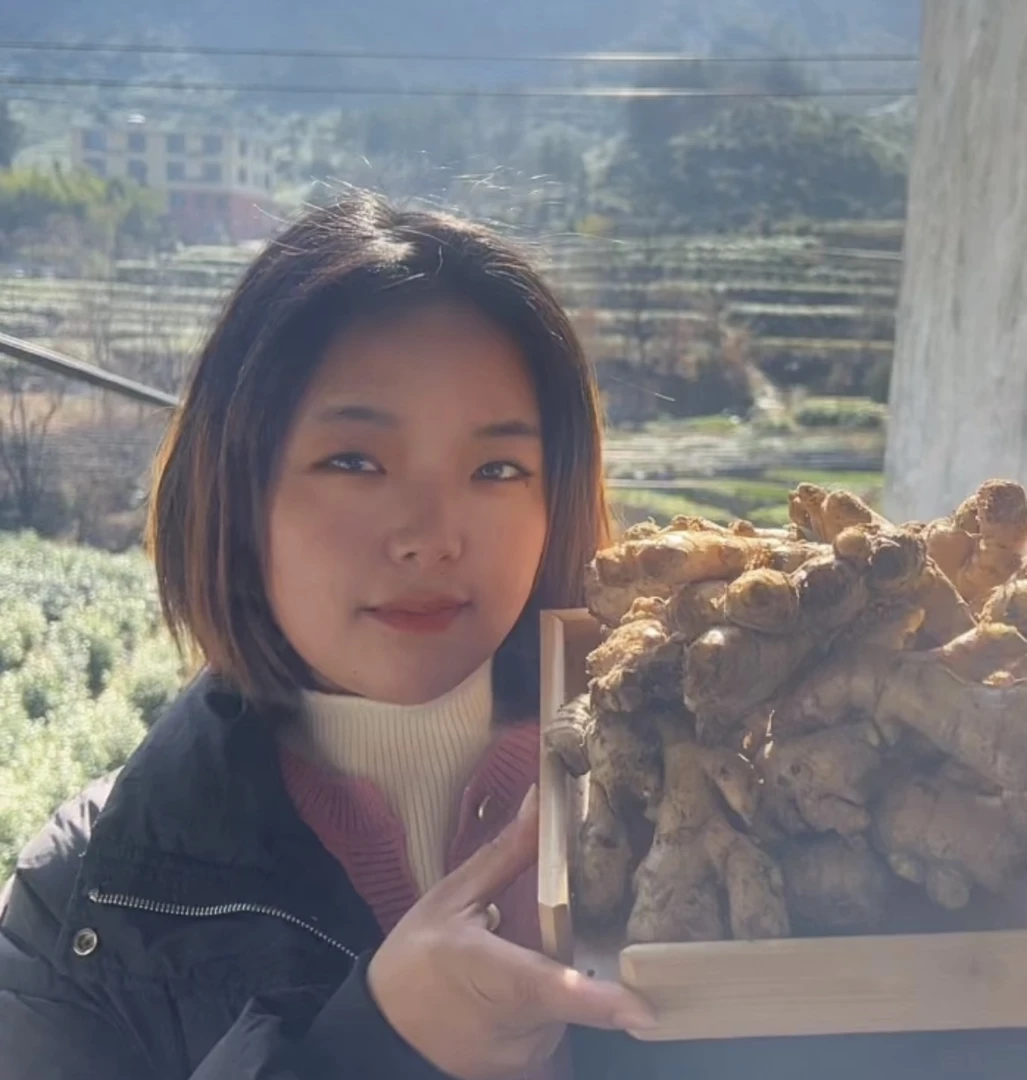 萌萌助农新鲜现挖姜香浓郁高山老姜（2斤）