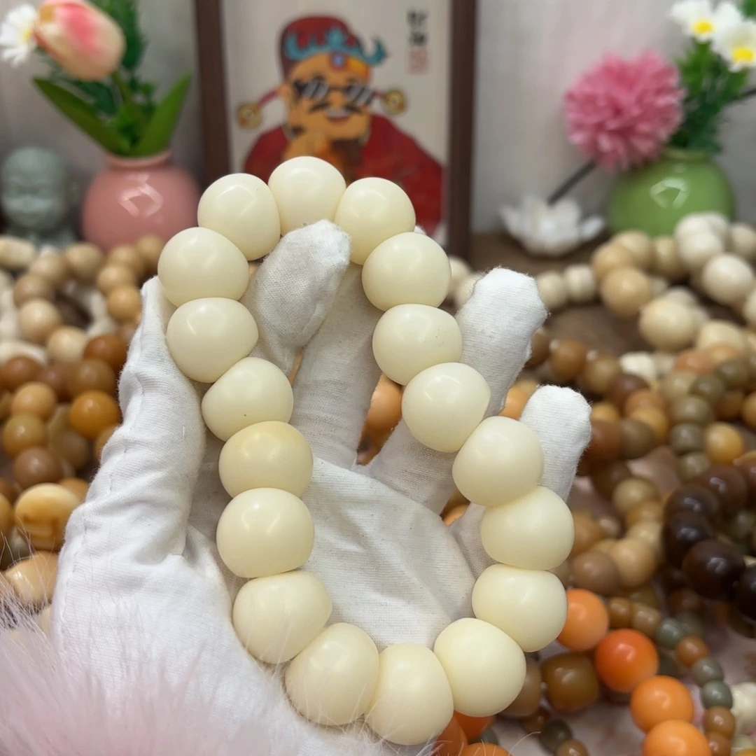 菩提根/象牙果吊坠20干磨瑕疵落地果肠883