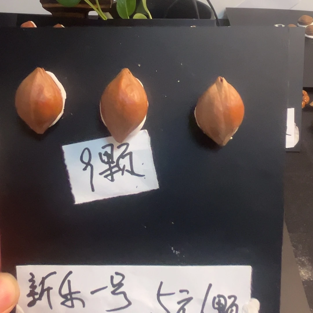 小***胖橄榄核手串/手链橄榄核