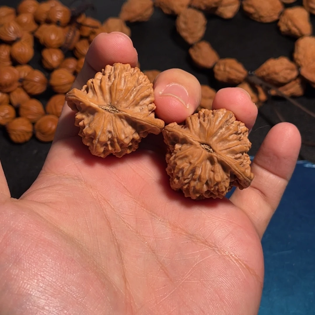 37全品野生三角桩小红皮