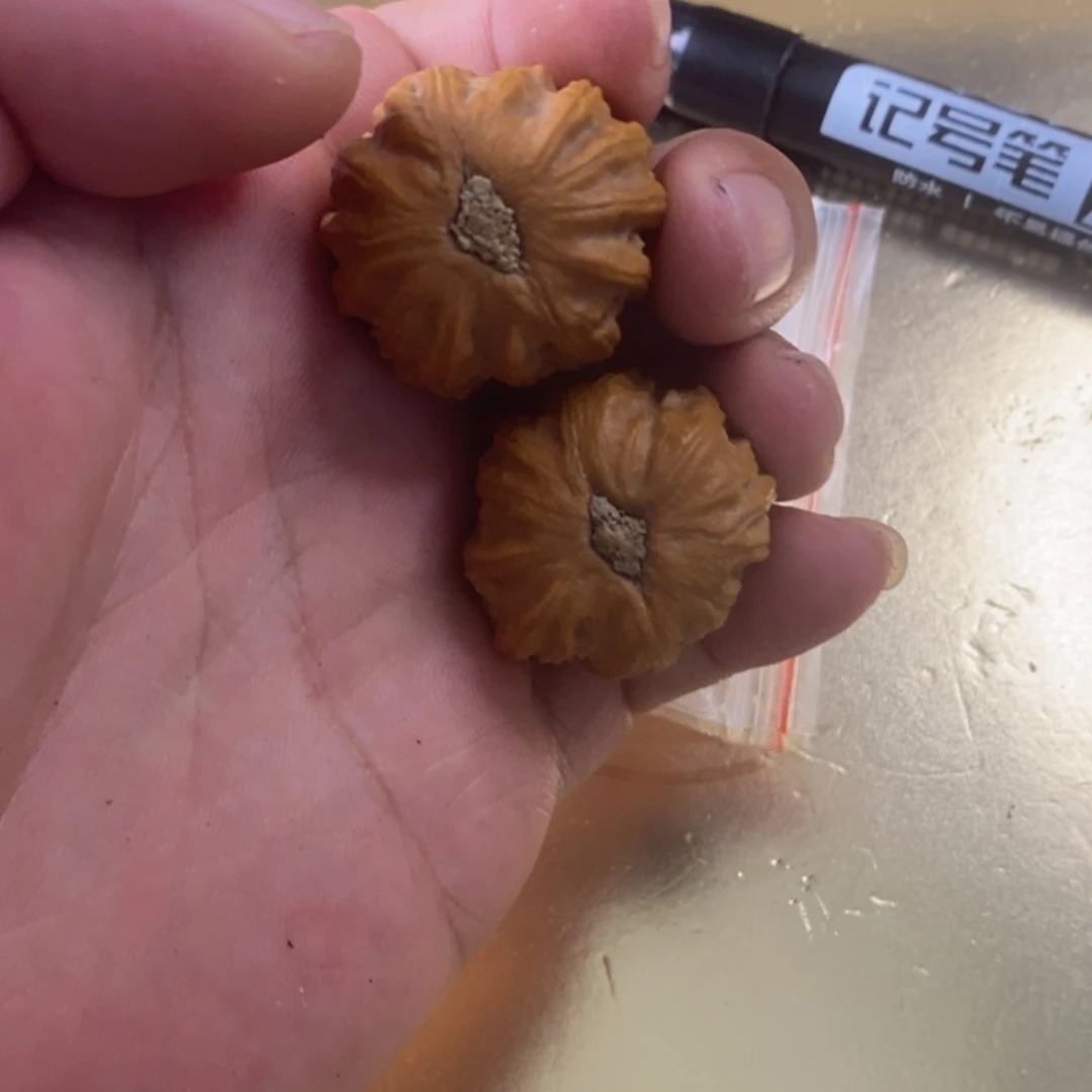 爱***活文玩核桃把件文玩木质核桃手把件