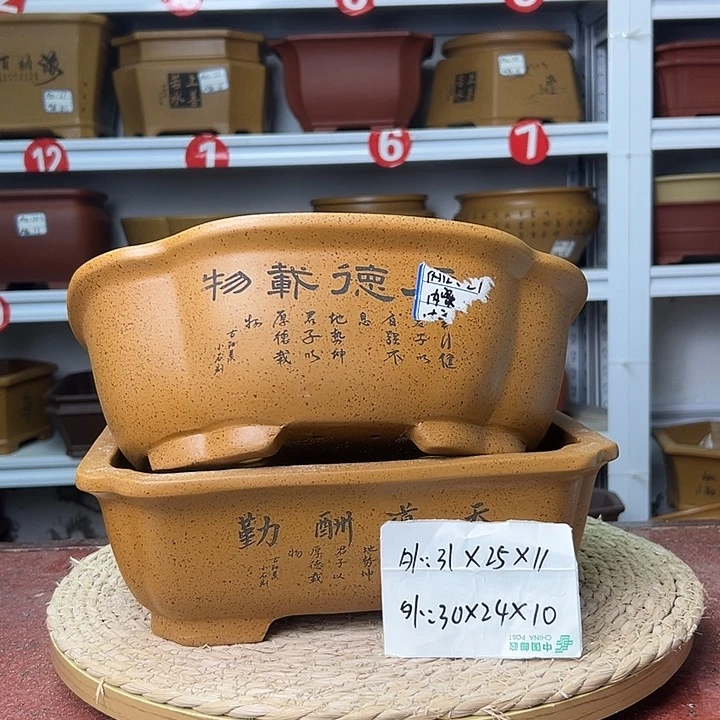 紫砂花盆蛇年大吉