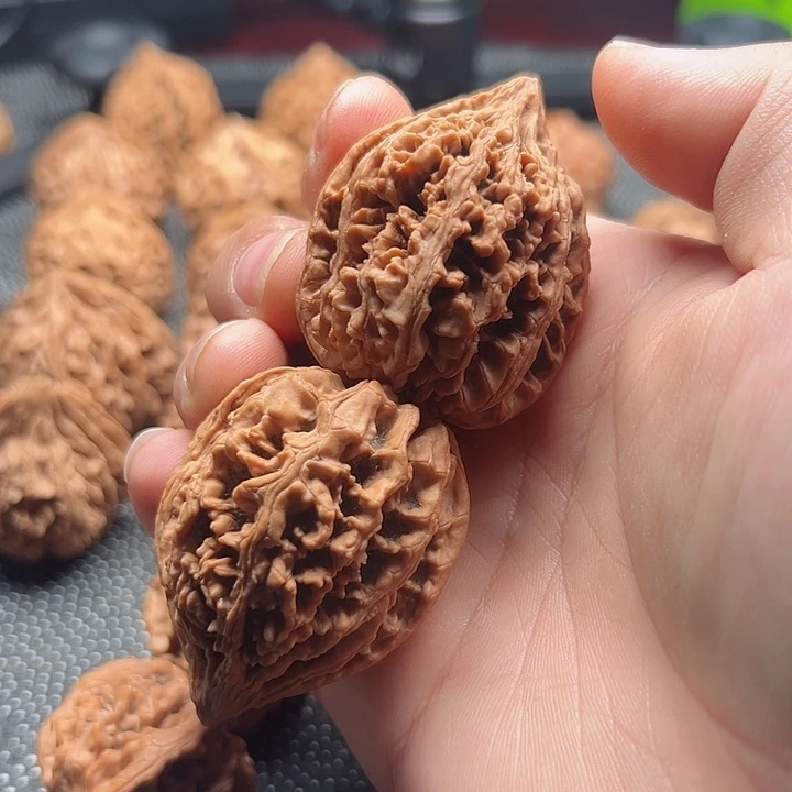 松*居陕西野生九龙筋手把件